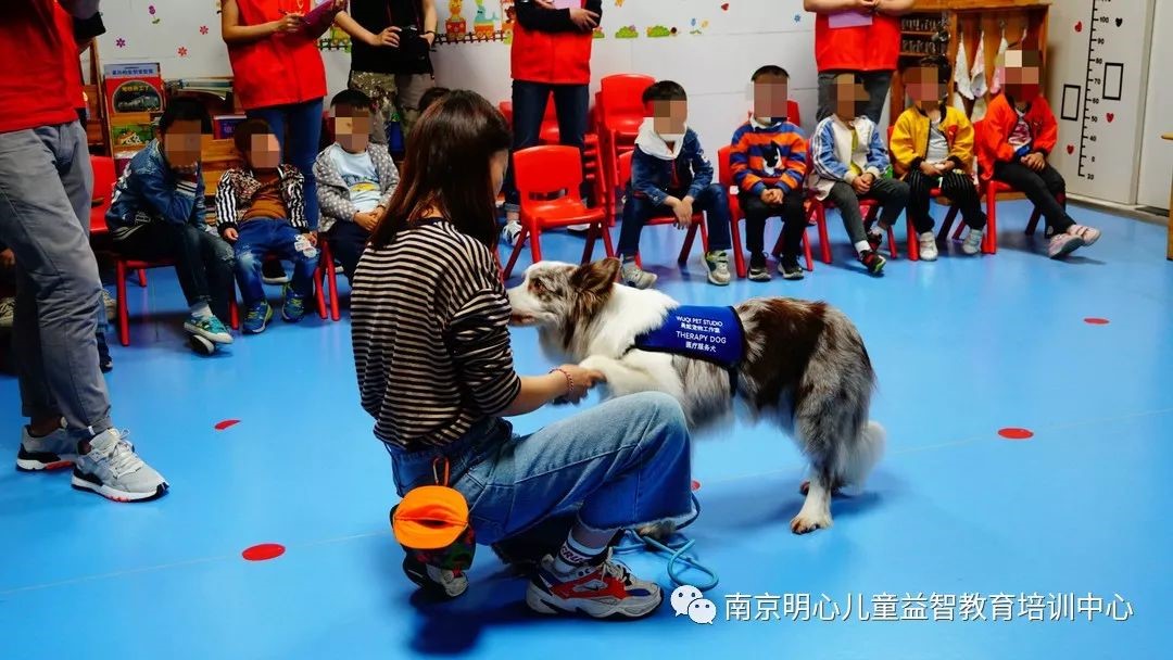 https://mmbiz.qpic.cn/mmbiz_jpg/C86HQu8N5rFkZpy2R6SK1RXWqWic9bC2sENw0XjH4D3VJlFQbWs74Et9Gz5uicDsrNvP3GiaUG3KzLmqdOGAuNThg/640?wx_fmt=jpeg&wxfrom=5&wx_lazy=1&wx_co=1